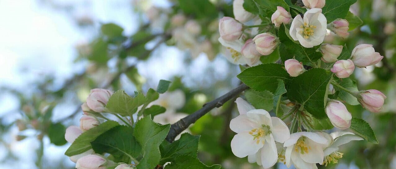 H P Startseite Background Klein Logo1 1280x1280 H P Startseite Background Klein Logo1 1280x1280